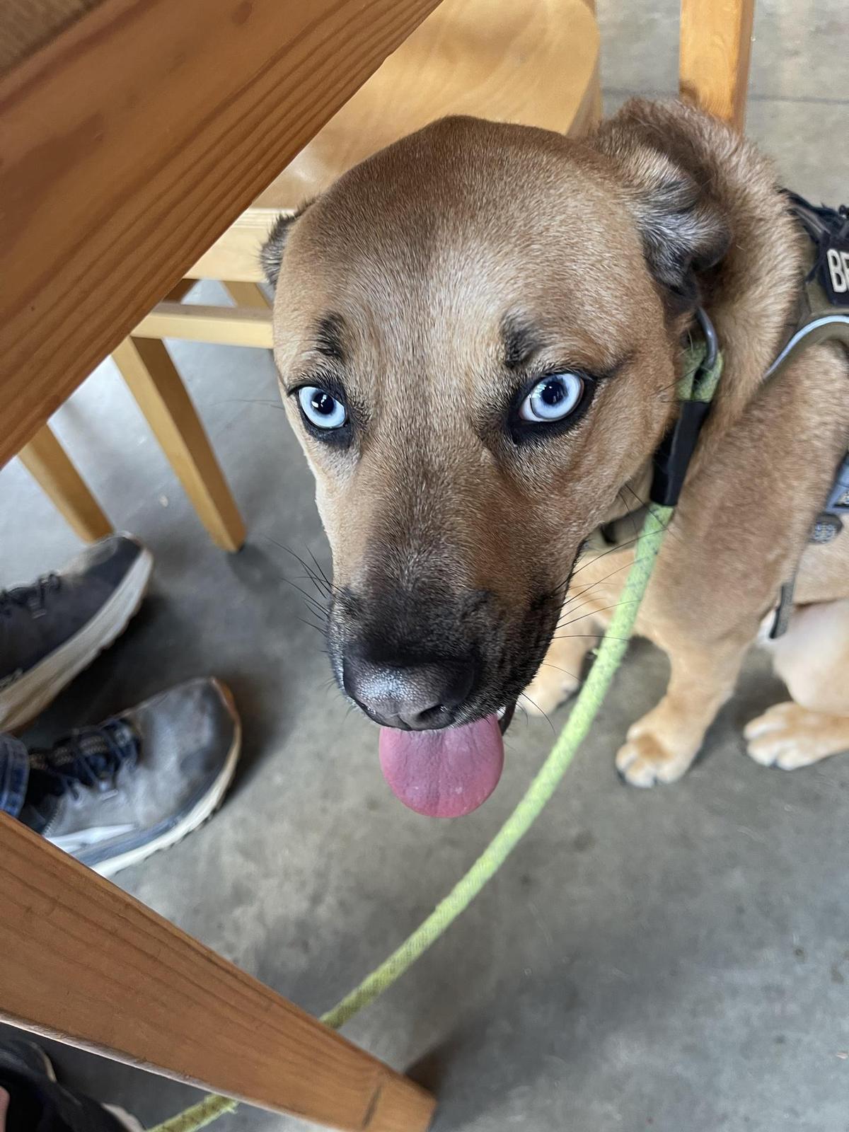 Parkway Brewing Company restaurant view 2