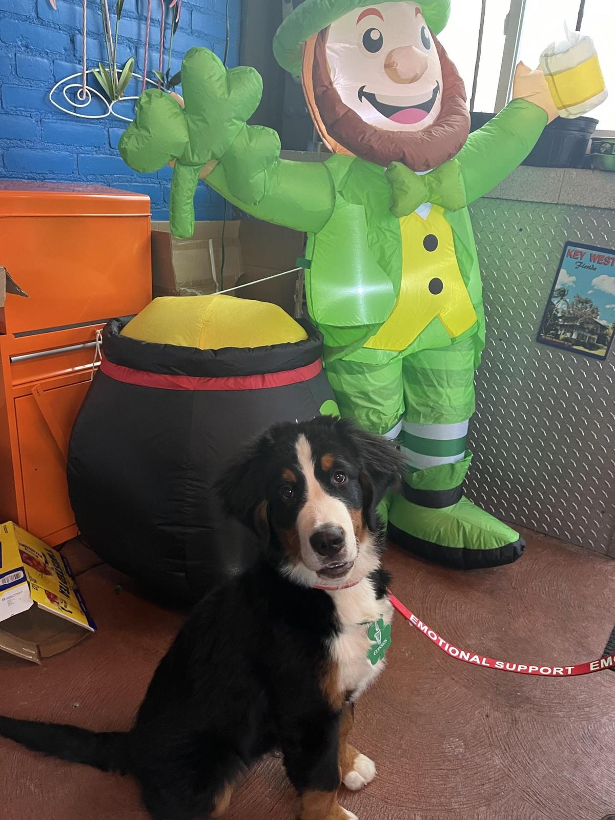 Sloppy Bobs restaurant view 1