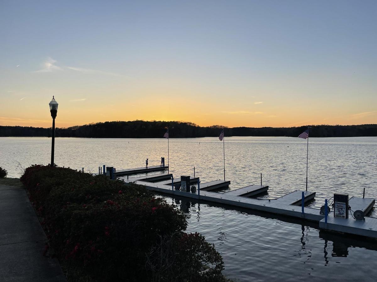 The Blue Parrot Bar & Grill restaurant view 1