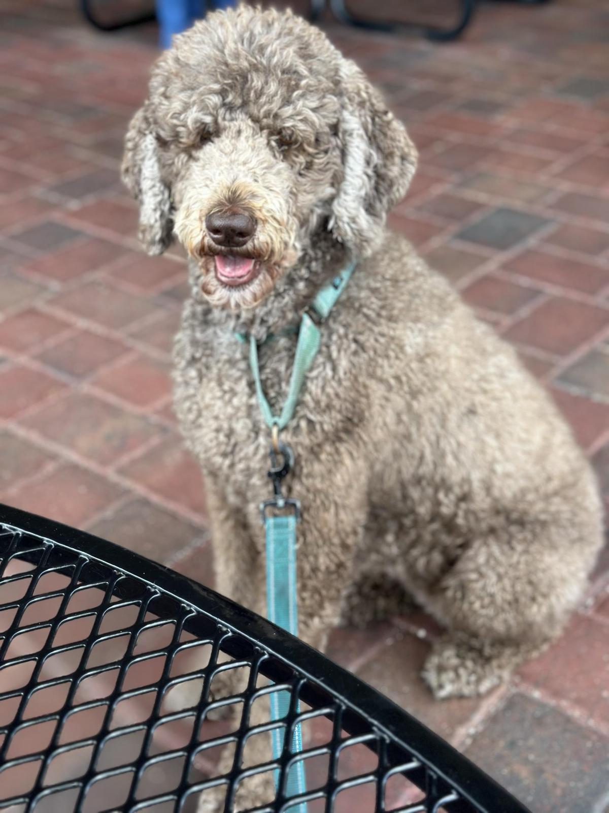 Sunrise Eatery restaurant view 1