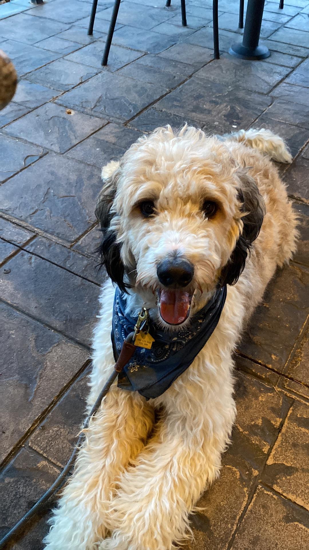 Liberty Park Grill restaurant view 1