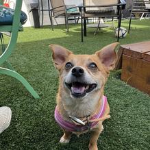 Gratefuel Cafe restaurant view 1