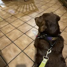 Wagon Wheel Restaurant restaurant view 2