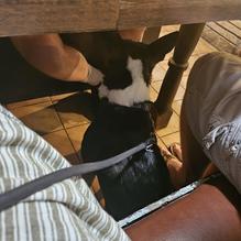 Wagon Wheel Restaurant restaurant view 1