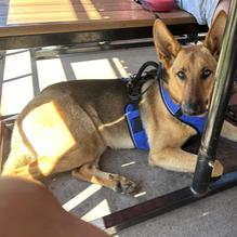 Torchy's Tacos restaurant view 1