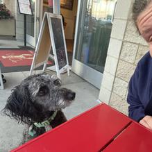 Lobster West Coronado restaurant view 1