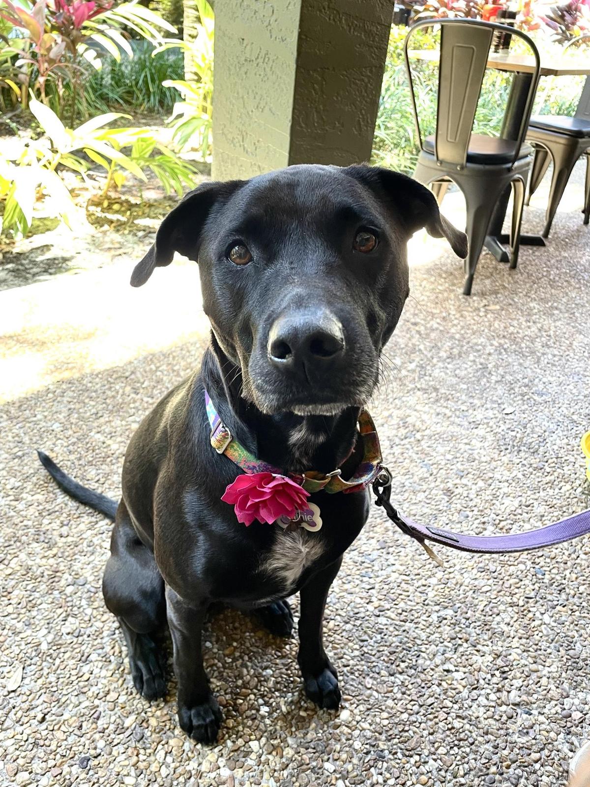 Kickback Tavern restaurant view 1