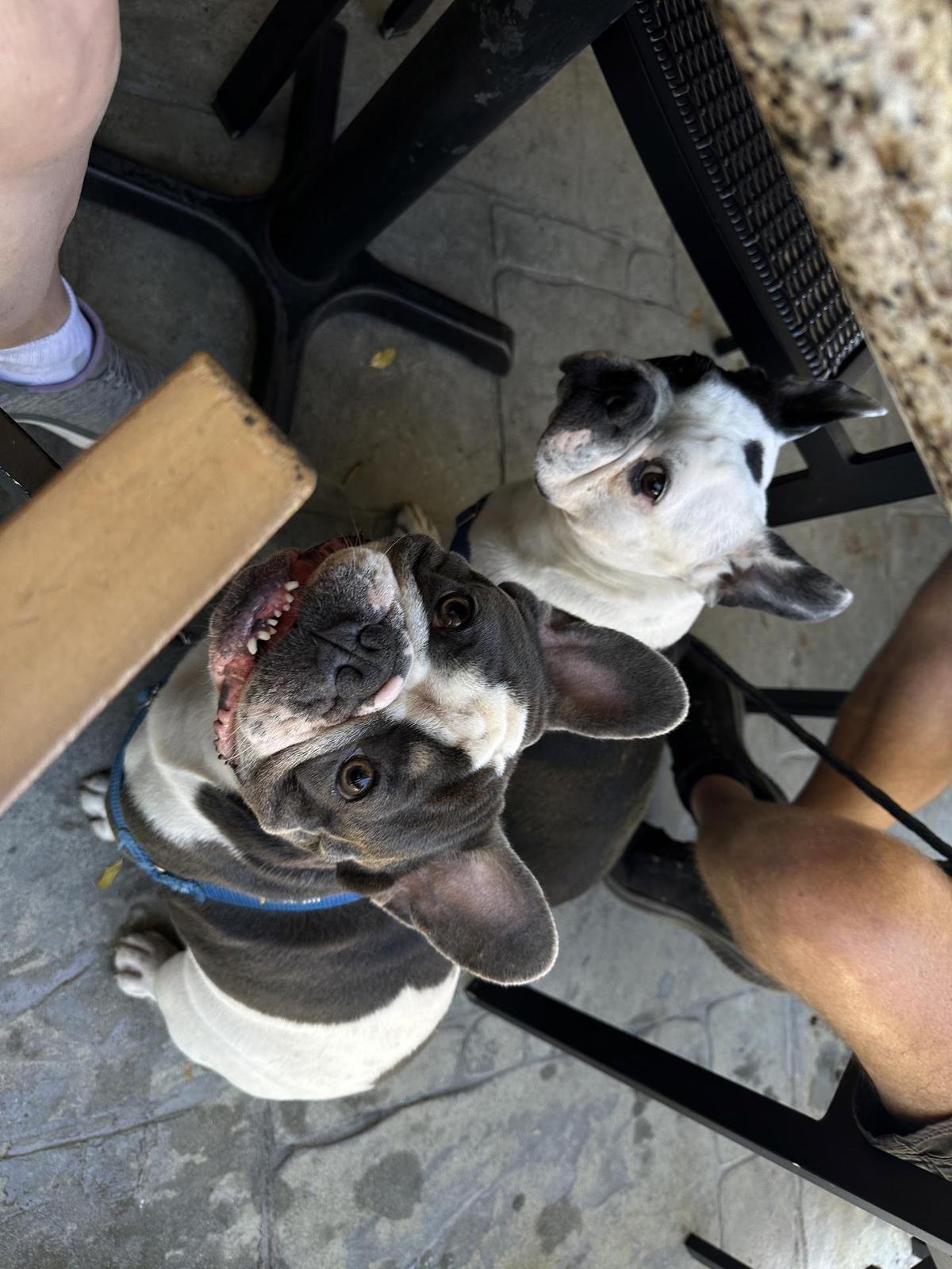 The Pub restaurant view 1