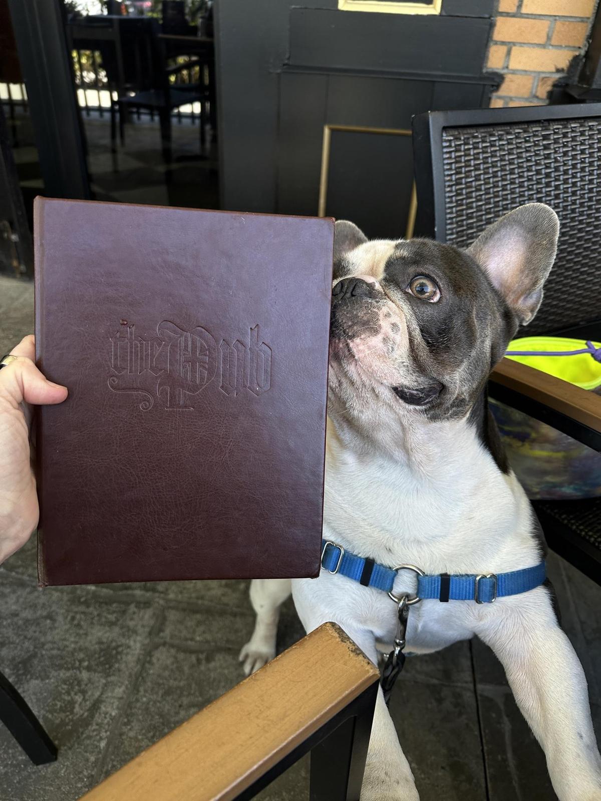 The Pub restaurant view 2