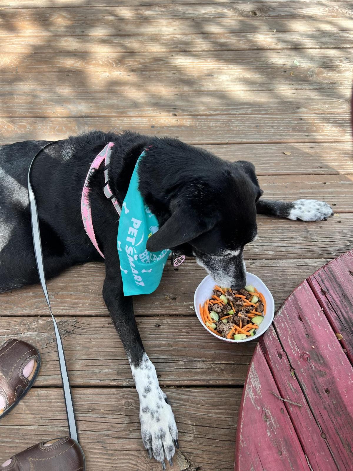 River Rose Tavern restaurant view 1