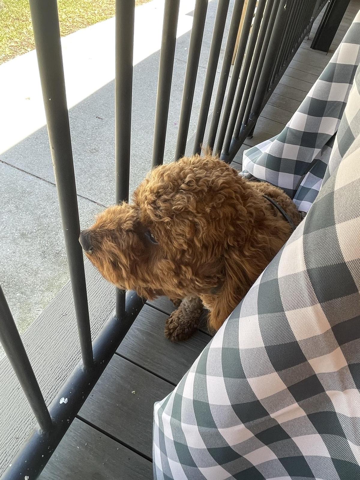 Ridgway Bar & Grill restaurant view 1