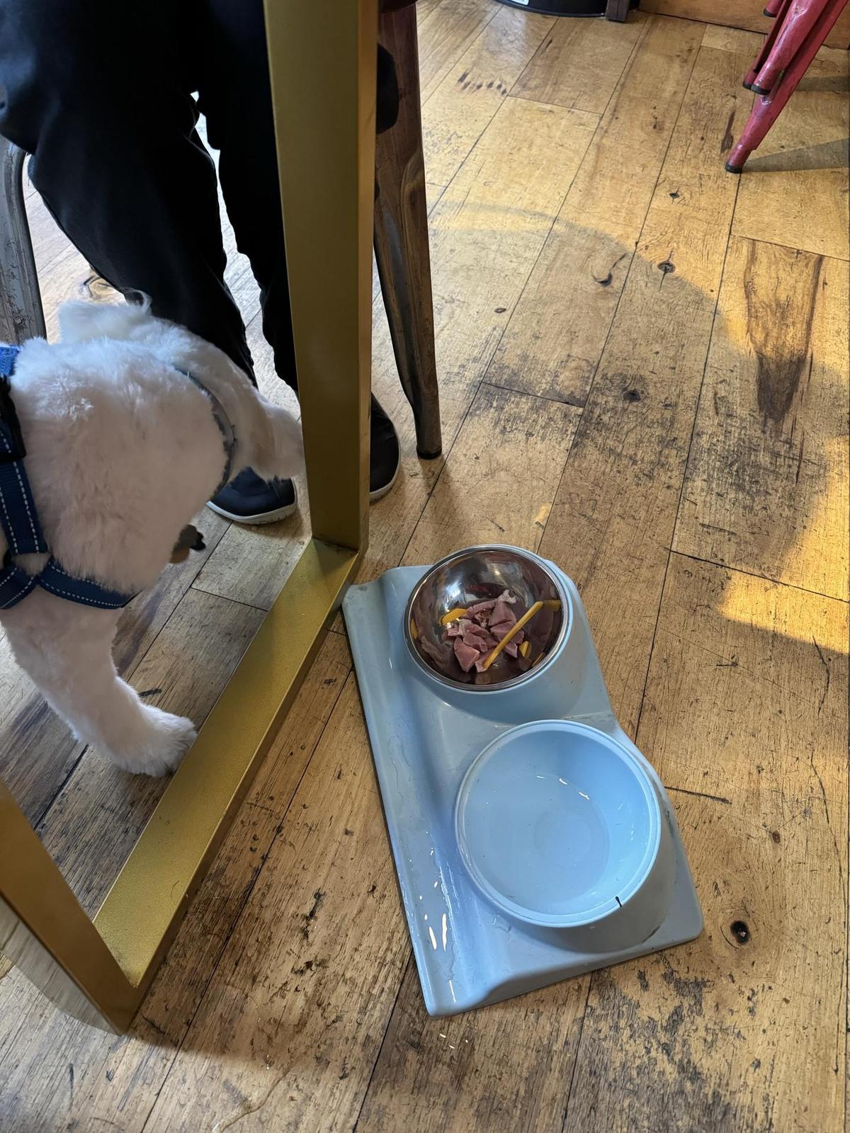 Farm:Table restaurant view 2