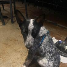 The Bunker Bar restaurant view 1