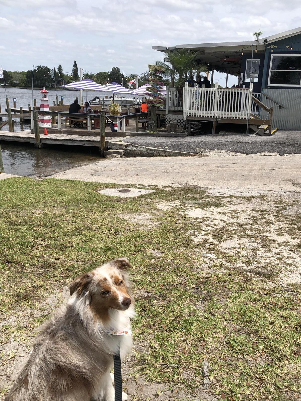 Jerry's Dockside Bar & Grill restaurant view 2