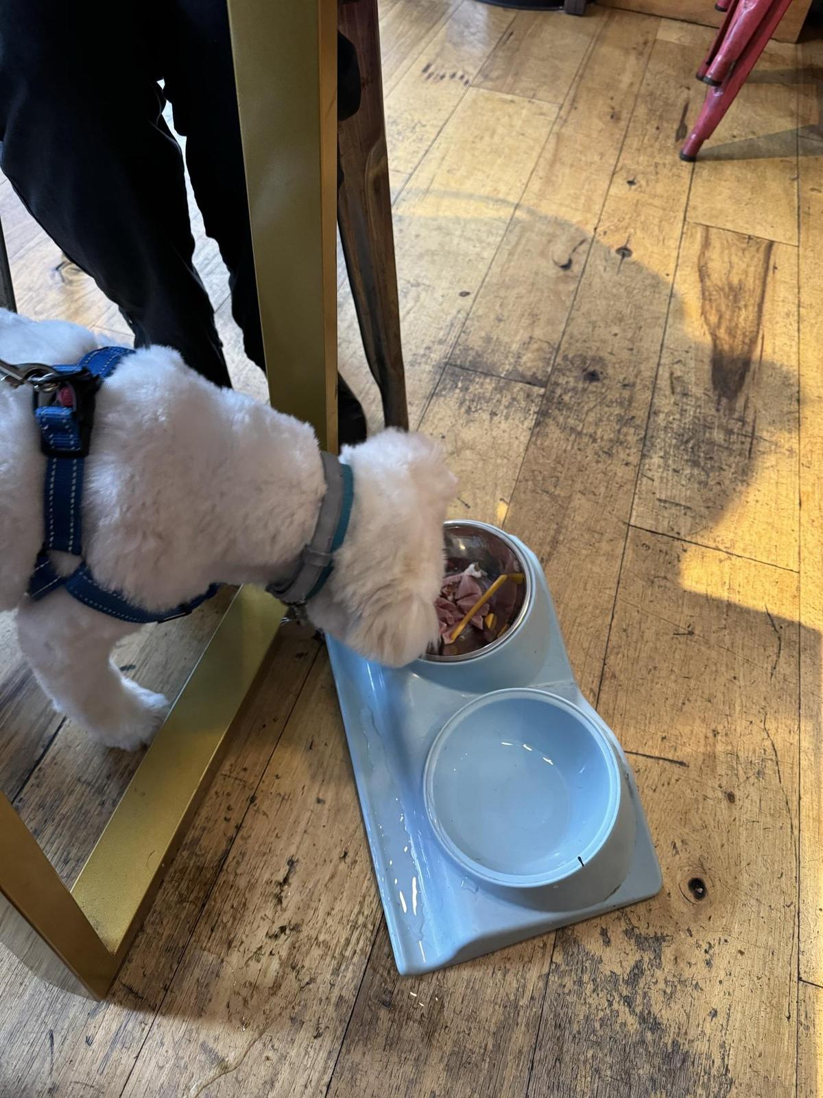 Farm:Table restaurant view 1