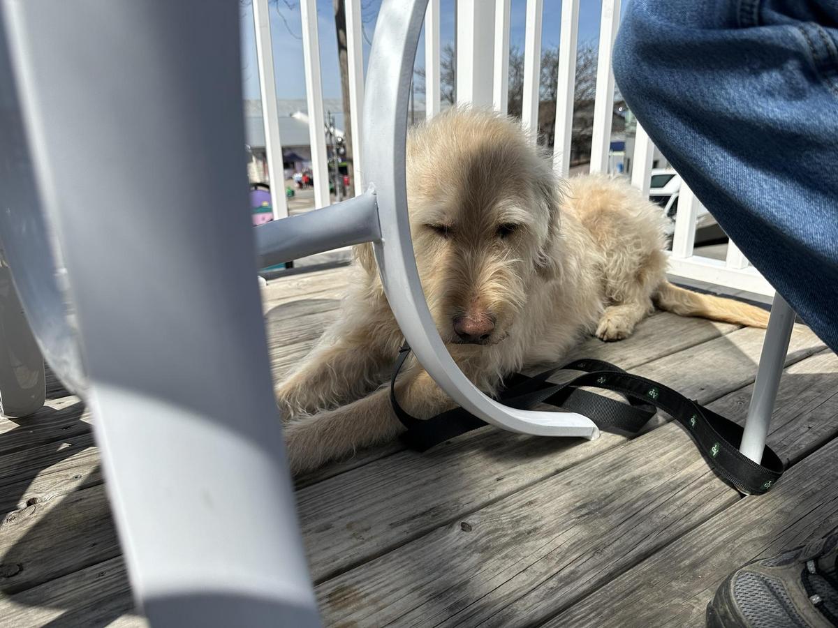 Shanty On the Shore restaurant view 1