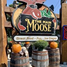 The Main Moose restaurant view 1