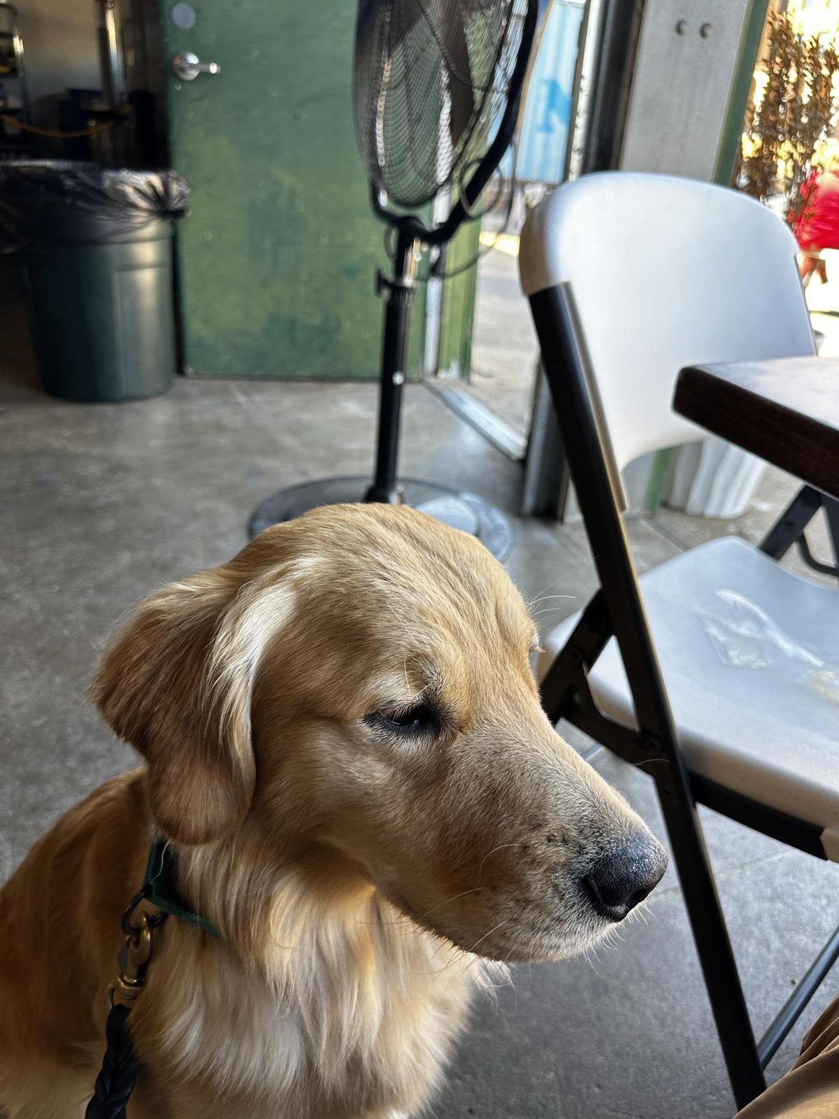 TxAR House restaurant view 1