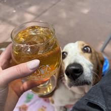 2 Penguins Tap and Grill restaurant view 1