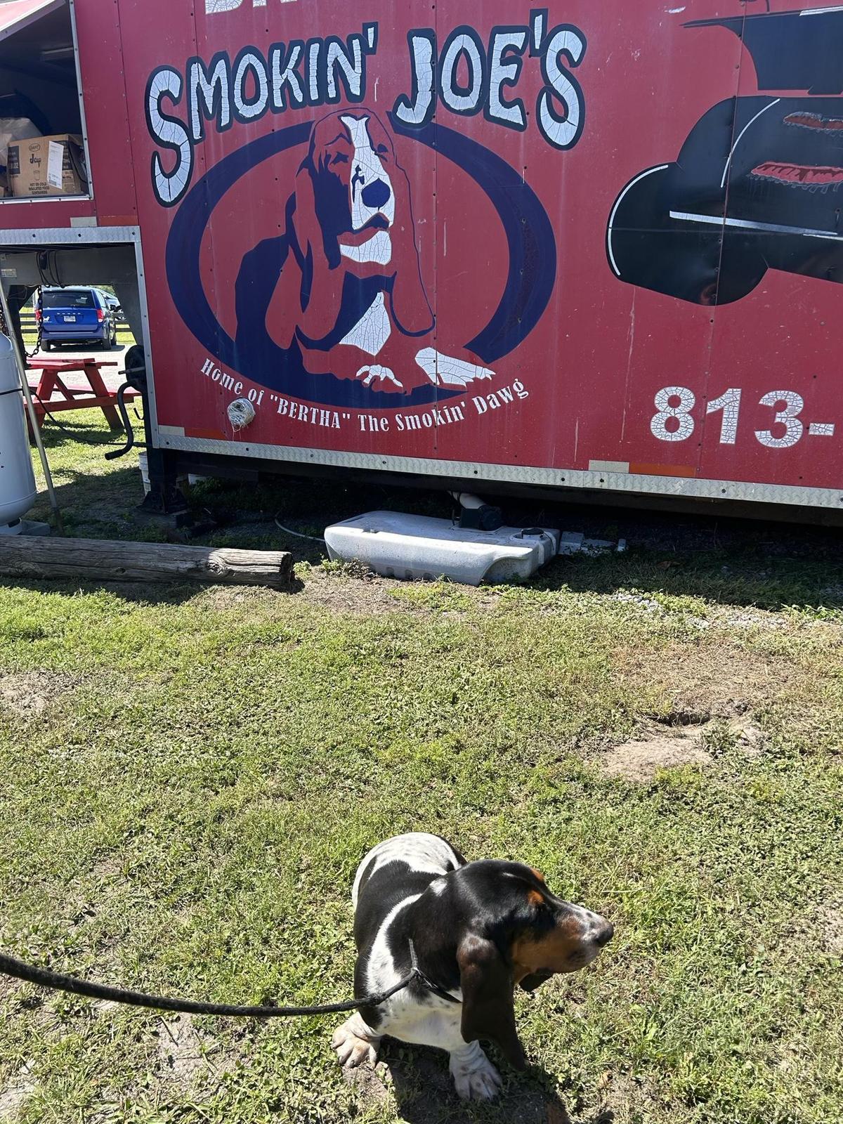 Rick's restaurant view 1