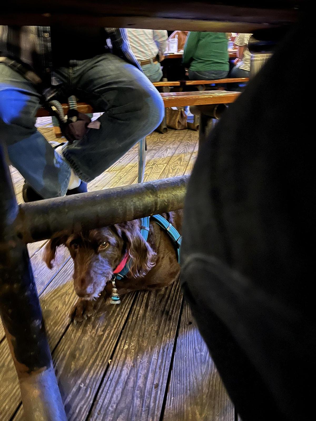 Fisherman's Wharf Steak & Seafood restaurant view 1