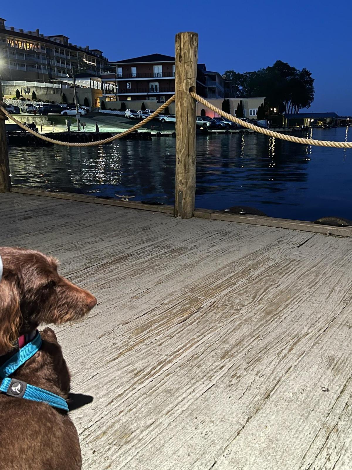 Fisherman's Wharf Steak & Seafood restaurant view 2