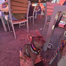 Pumphouse Brewery restaurant view 1