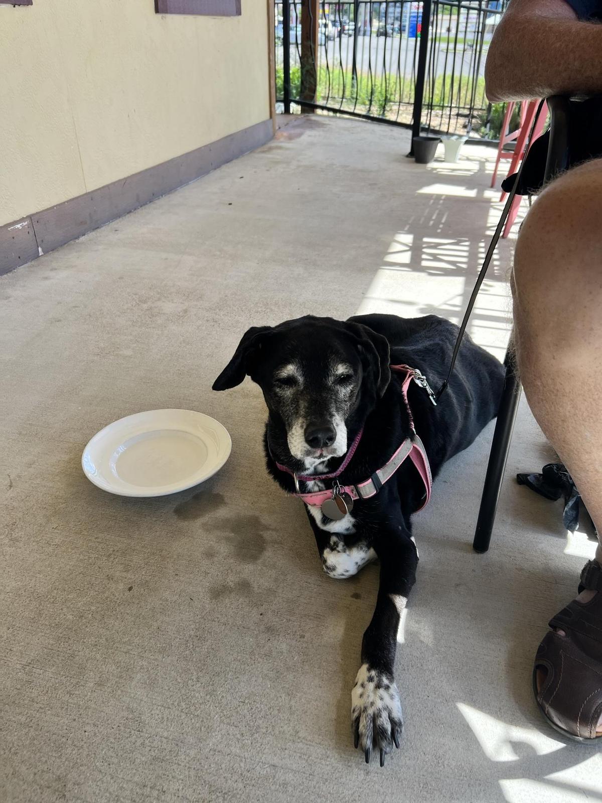 Italian Garden Restaurant restaurant view 1