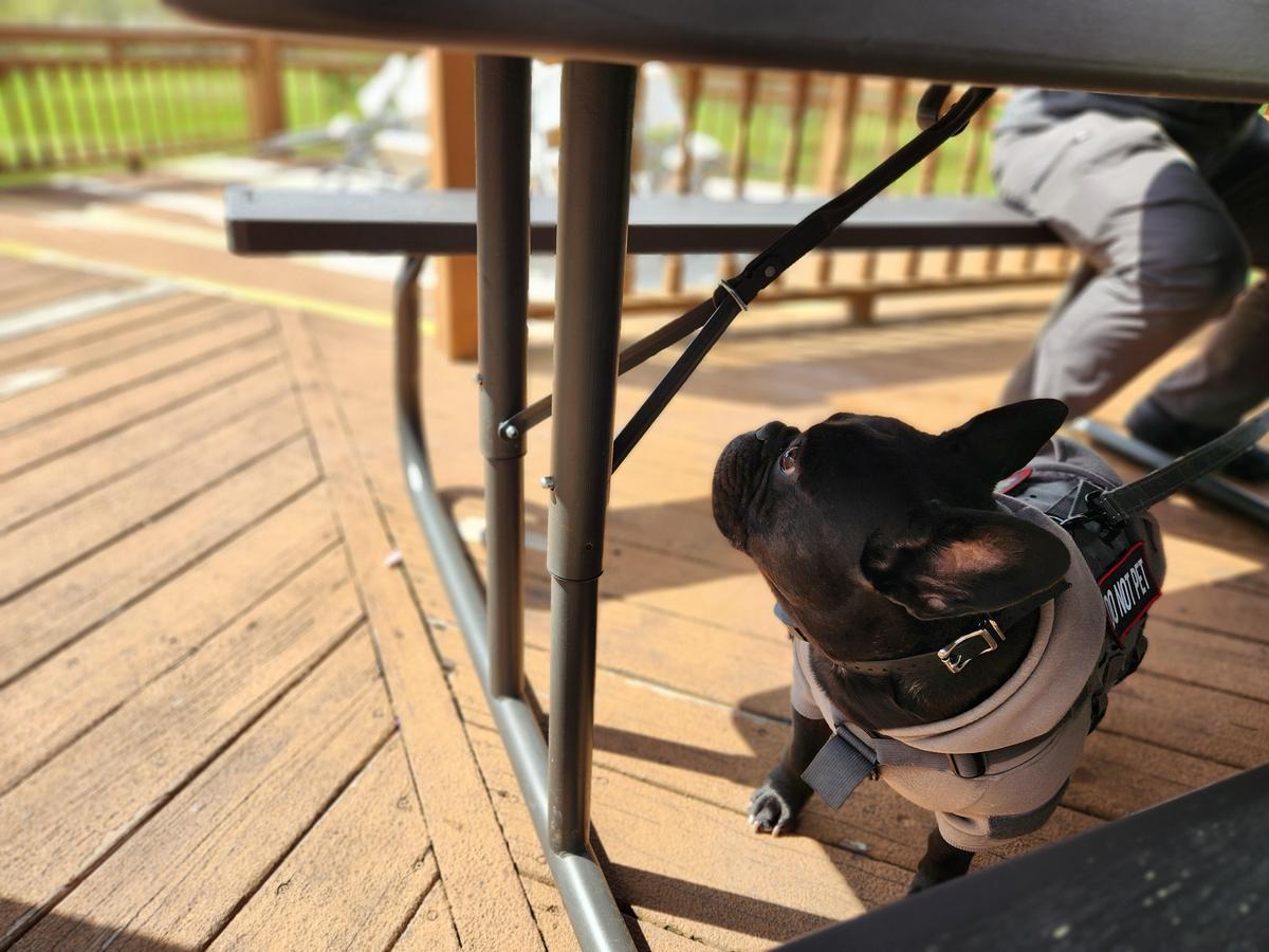 Rickard Ridge BBQ restaurant view 2