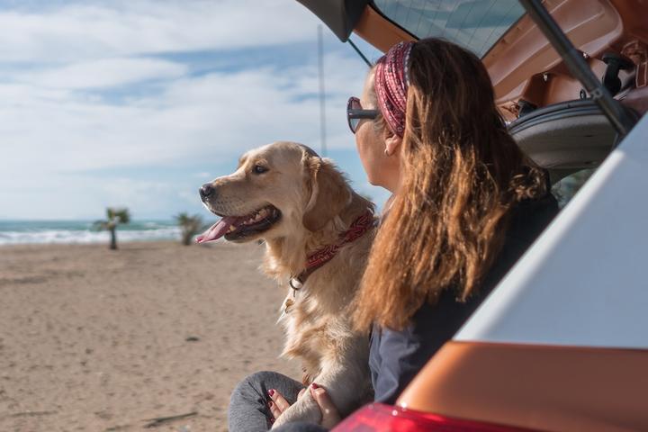 Pet-Friendly Road Trip: A1A