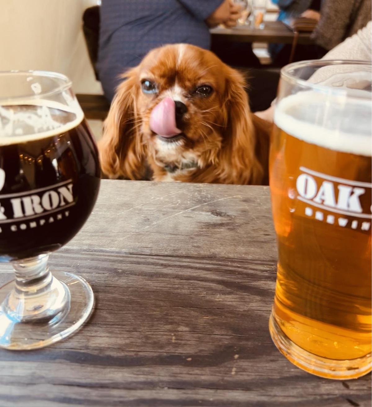 Image of Oak & Iron Brewing Company