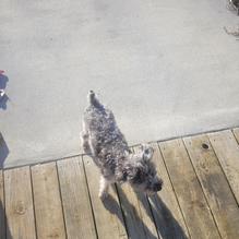 The Pit Too restaurant view 2