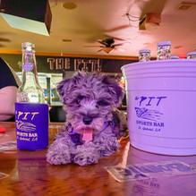 The Pit Too restaurant view 1