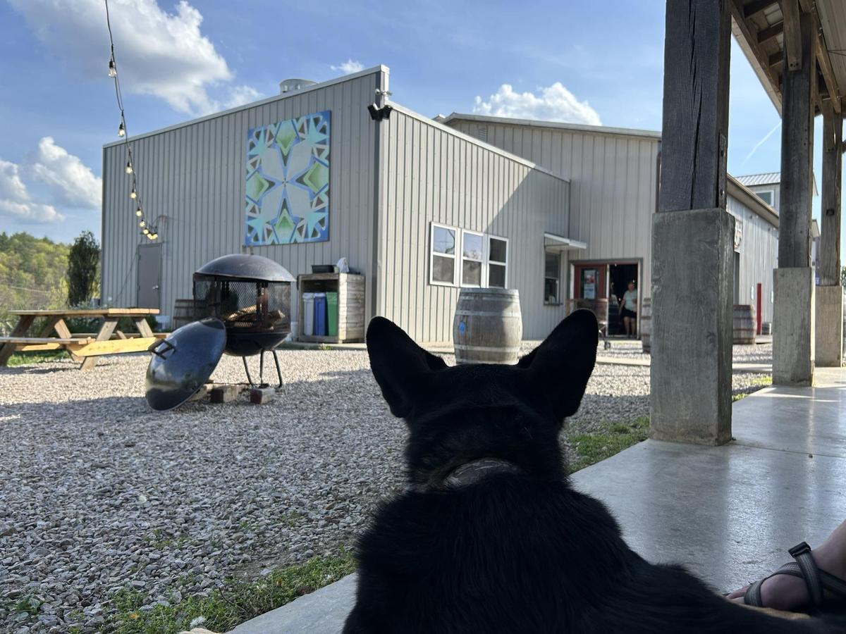 Image of Little Fish Brewing Company