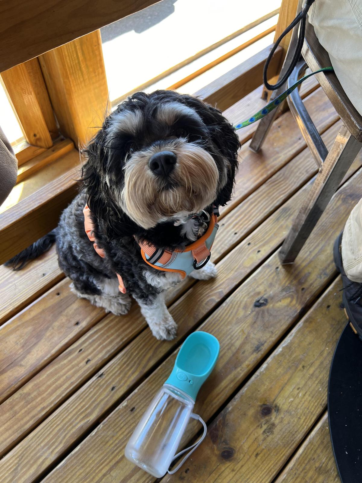 Kosta's Kitchen restaurant view 1