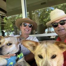 Texas Wine Collective restaurant view 1