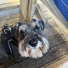 Oliver's on the Cape Fear restaurant view 1