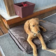 John G's Bier Deck restaurant view 1