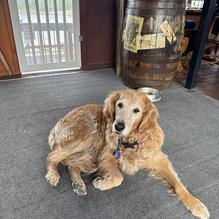 John G's Bier Deck restaurant view 2