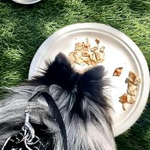 Tra di Noi restaurant view 1