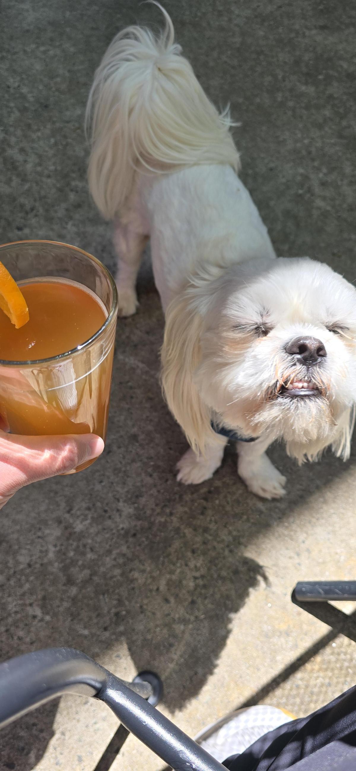 Carrburritos restaurant view 1