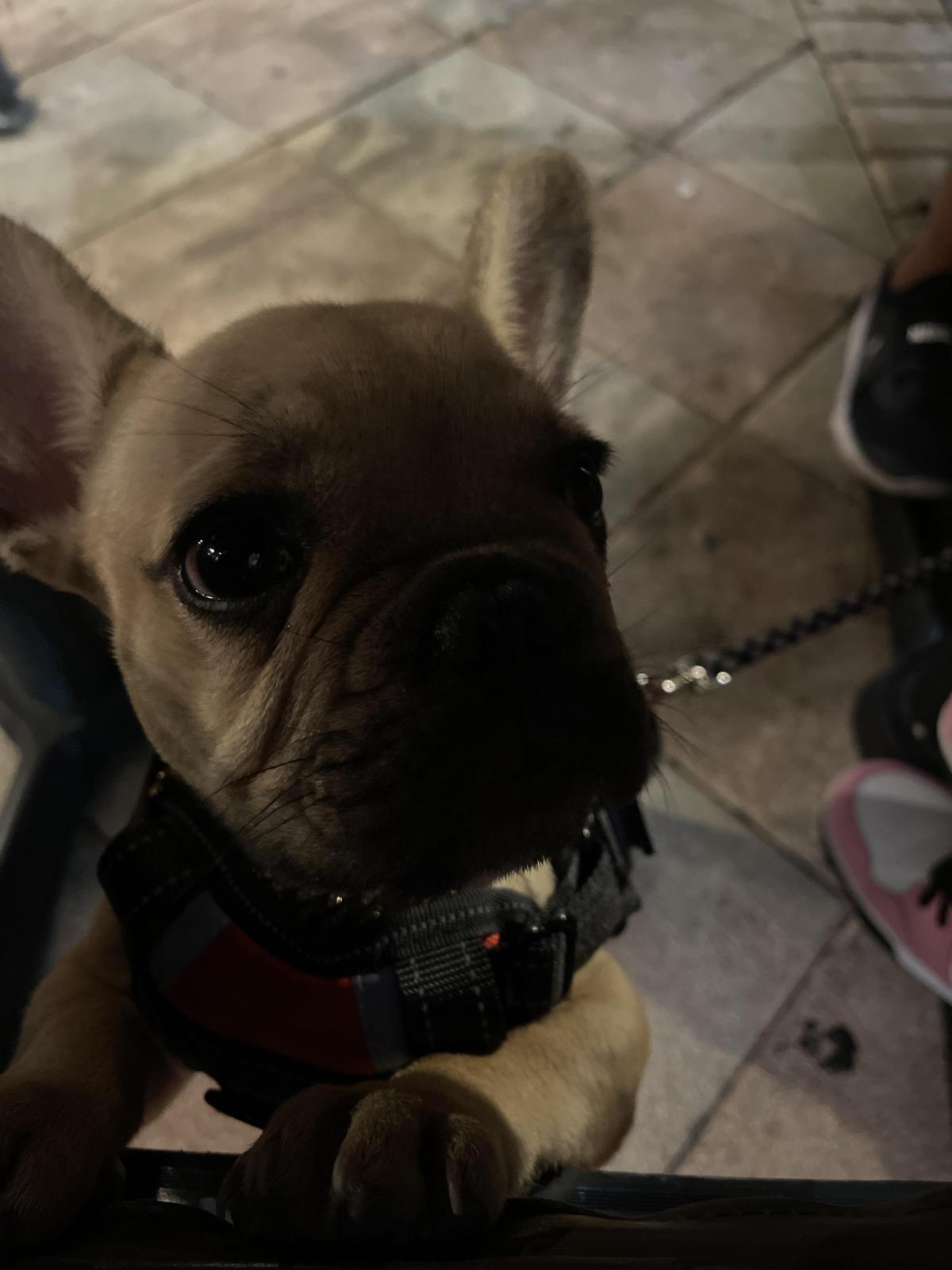 Sushi Thai restaurant view 1