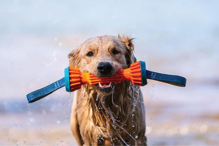 New Dog Parks and Pet-Friendly Attractions: May