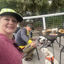 The Birds Cafe restaurant view 2