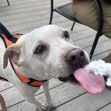 The Birds Cafe restaurant view 1