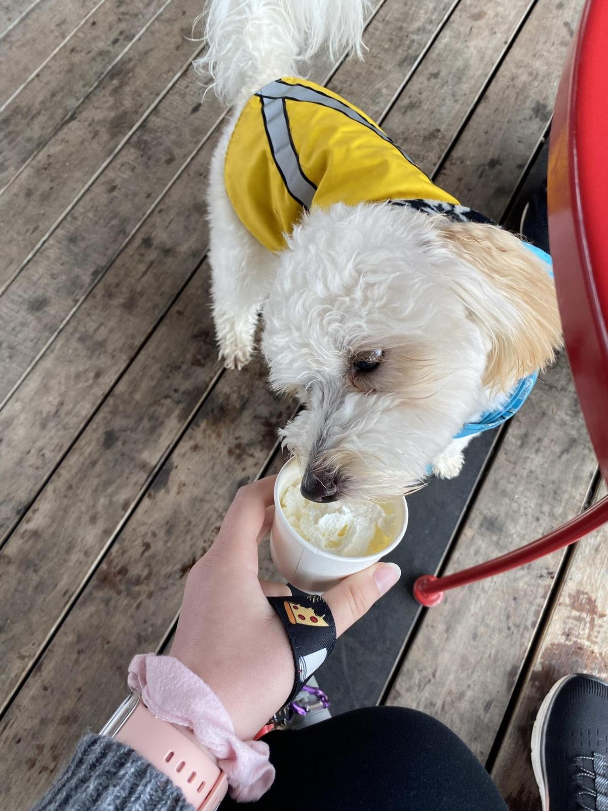 Frite & Scoop restaurant view 1