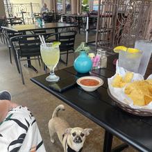 La Playa Maya West Side restaurant view 1