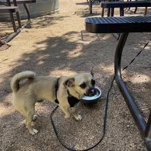 Rogers Roundhouse restaurant view 1