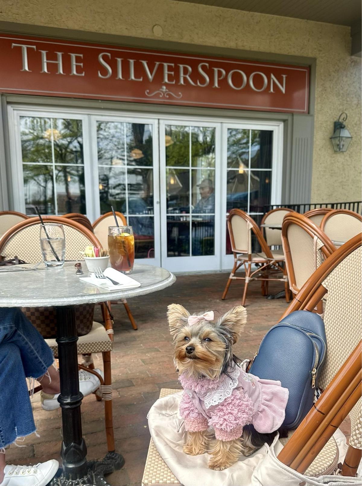 Image of The Silverspoon