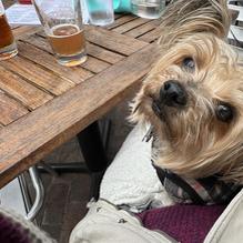 BOXCAR restaurant view 2